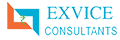 Exvice Consultants